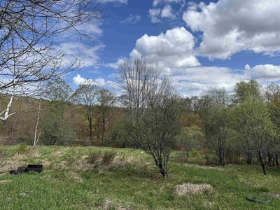 /international/us/2527-bent-hill-road-braintree-vt-110107847557/
