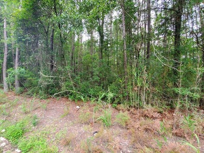 /international/us/0-2nd-texas-road-sc-110070324193/?lang=zh-tw