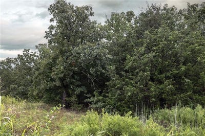/international/us/tbd-highway-63-talihina-ok-110102188499/