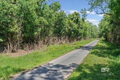 /international/us/newberry-lane-foley-al-110108549686/