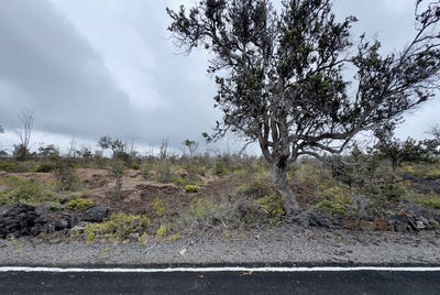 /international/us/lei-pkwy-ocean-view-hi-110106215857/
