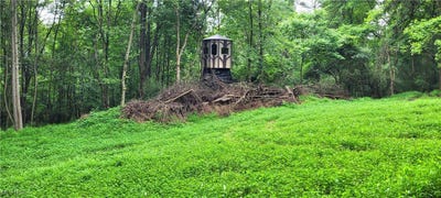 /international/us/tall-timber-road-new-philadelphia-oh-110100800738/