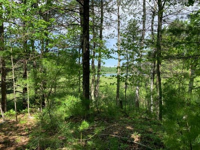 /international/us/lot-1-somo-ridge-dr-tomahawk-wi-110101258294/