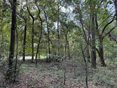 /international/us/vacant-e-duckpond-drive-greenville-fl-110119923641/