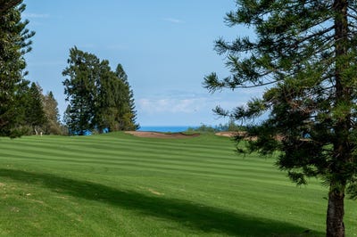 /international/us/68-3831-lua-kula-st-waikoloa-hi-110107508264/