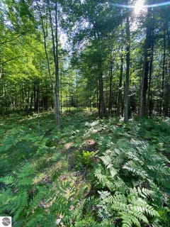 /international/us/2569-e-wildwood-trail-mikado-mi-110100899583/?lang=zh-tw