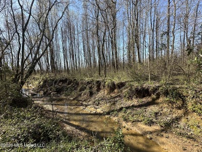 /international/us/wildwood-road-vaughan-ms-110106693481/