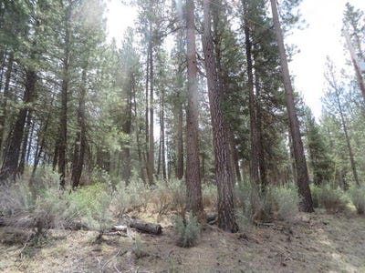 /international/us/twin-river-drive-chiloquin-or-110106151506/