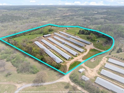 /international/us/306-cowbranch-rd-hackleburg-al-110106959380/