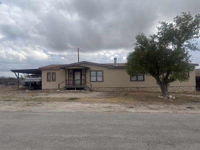 /international/us/40-mesquite-del-rio-tx-110104550704/