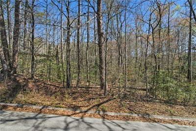/international/us/springdale-avenue-liberty-sc-110106589096/