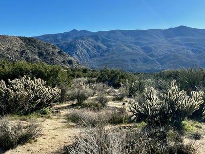 /international/us/apn-635-393-007-mountain-center-ca-110105000808/