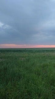 /international/us/17010-n-county-road-1000-shallowater-tx-110100026556/