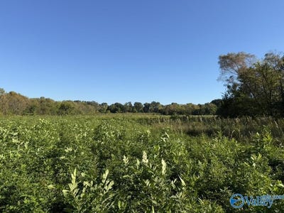 /international/us/10-55-acres-alabama-highway-67-somerville-al-110120462980/