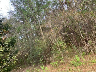 /international/us/xxx-works-road-caryville-fl-110098343996/