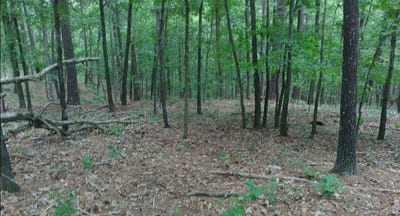 /international/us/481-timberline-road-willow-springs-mo-110101029351/