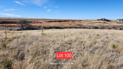 /international/us/1651-blakely-hollow-amarillo-tx-110099096905/