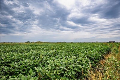 /international/us/jackson-road-richmond-ks-ks-110104258701/
