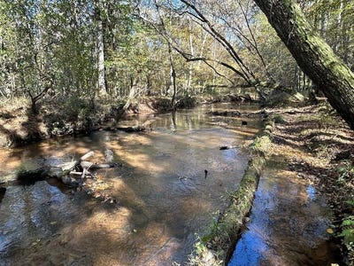 /international/us/229-ac-cty-rd-62-cty-rd-160-morgan-rd-coleman-ga-110103470701/