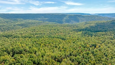 /international/us/palmer-firetower-road-whitwell-tn-110102918171/