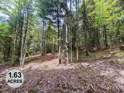 /international/us/marshall-newland-road-burke-vt-110102306328/