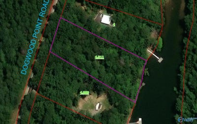 /international/us/1065-county-road-264-cullman-al-110109438545/