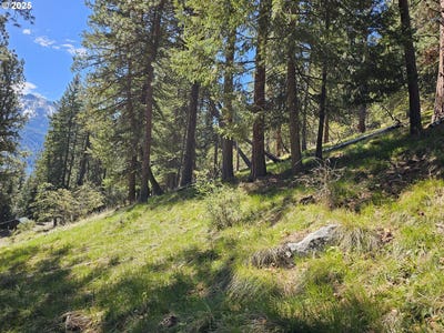 /international/us/lake-shore-rd-joseph-or-110101502741/