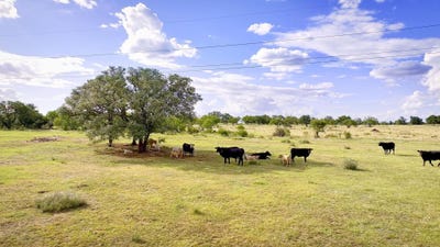 /international/us/tbd-12119-w-hwy-29-llano-tx-110108548381/