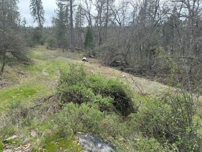 /international/us/0-road-225-north-fork-ca-110098163364/