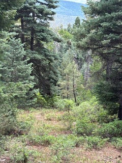 /international/us/tbd-spruce-trail-lot-2-chama-nm-110100693084/?lang=zh-tw