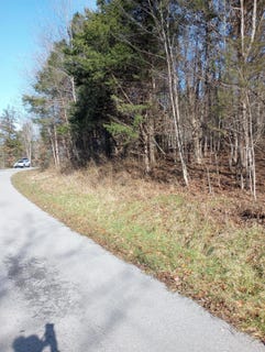 /international/us/-buckeye-hills-road-falmouth-ky-110100796719/?lang=zh-cn
