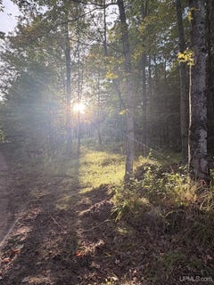 /international/us/tbd-harborview-lot-21-drive-munising-mi-110110173189/
