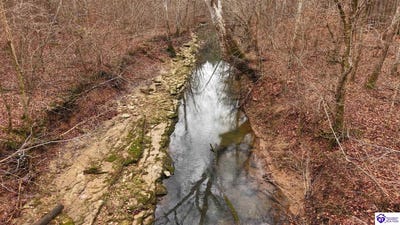 /international/us/181-abbey-lane-irvington-ky-110105785020/