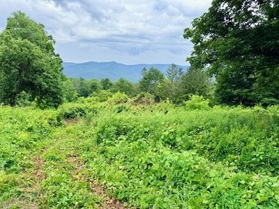 /international/us/510-center-street-pownal-vt-110109139156/?lang=it