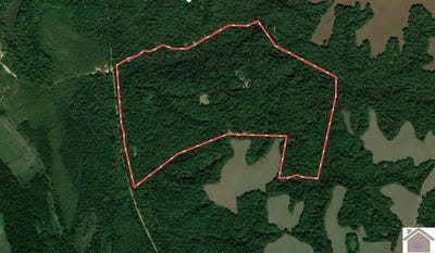 /international/us/sandy-branch-road-bardwell-ky-110105521060/