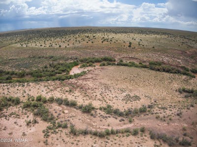 /international/us/tbd-pozo-oro-ranches-woodruff-az-110094009396/