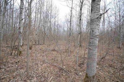 /international/us/9960-northridge-dr-lot-77-mancelona-mi-110110174249/