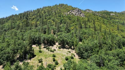 /international/us/25555-highway-49-sierra-city-ca-110086245711/