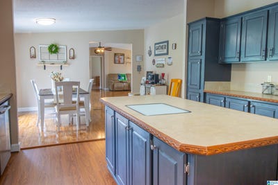 /international/us/1028-horsecreek-boulevard-dora-al-110100123110/