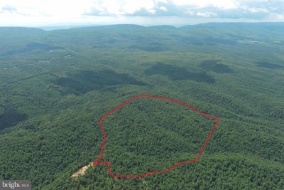 /international/us/113-acres-off-capon-springs-road-yellow-spring-wv-110100943117/?lang=zh-tw