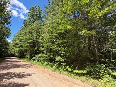 /international/us/flintrock-dr-lot-12-minocqua-wi-110108982032/