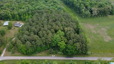 /international/us/unkn-highland-road-lot-9-1-acres-lineville-al-110109695908/