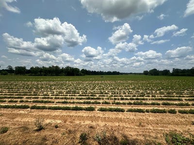 /international/us/14-acres-lot-6-j-saunders-dothan-al-110099901495/