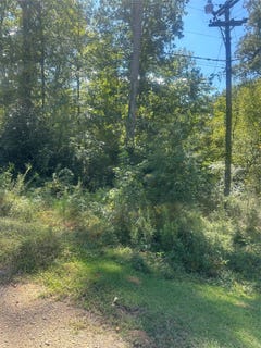 /international/us/dale-lot-5-jonesboro-la-110094880773/