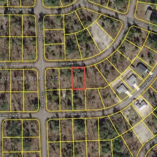 /international/us/ocklawaha-florida-fl-110120004803/