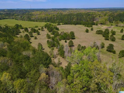 /international/us/highway-145-lot-1-shelby-al-110110127280/