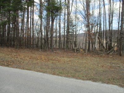 /international/us/991-kentmoor-farm-rd-madison-heights-va-110106256526/