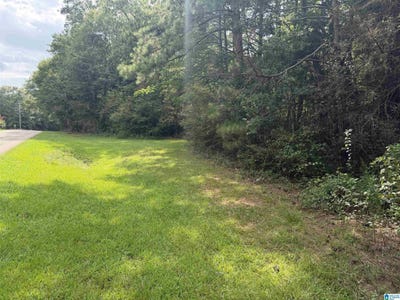/international/us/county-road-82-lot-1-newell-al-110109498908/