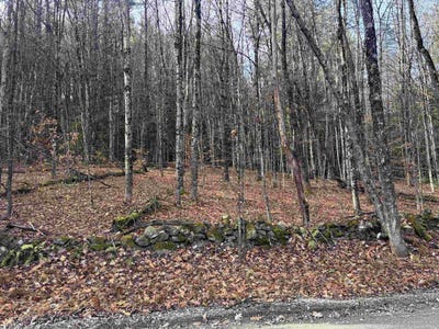 /international/us/e-putney-brook-road-lot-2-putney-vt-110103581611/