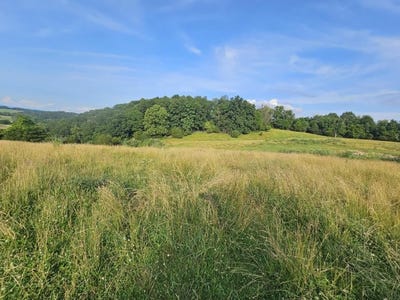 /international/us/tbd-quite-acres-lane-glade-spring-va-110100749341/?lang=zh-tw